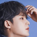 [세븐틴] 이거 원본 있는 사람 ㅠ