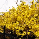 오랜만에 똥싼다 <b>우하</b>하