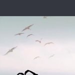 [TXT] 와 진짜 겁나바보같고 개귀여움