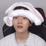 <b>기여</b>운 배켜니