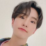 [세븐틴] 이거 추반해줘ㅋㅋㅋ