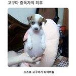 [드루와] 콜미바이<b>유어</b>네임은 어떻게 의역해야되?
