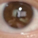 [댓글부탁해] 오 나 <b>삼백</b>안 글쓰니인데