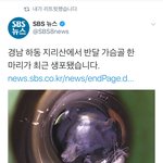 [19] ❤️푸룬 <b>딥워터</b>❤️후기