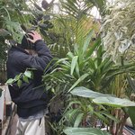 [NCT즌] 이때 <b>식물</b> 샀나보다