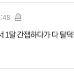 [에이티즈] 브이앱무새 신고 뭘로 해야돼?