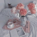 [드루와] 팔뚝살 에바임?