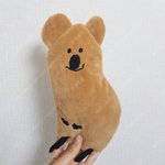 [드루와] 필통 추반해줘!!