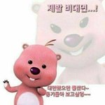 [드루와] 남매인 얘들아 너네 이거 가능?