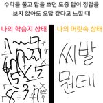 [웃긴짤] 수학을 풀고 답을 쓰던 <b>도중</b> 답이 절대 이게 나올 수...