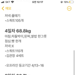 다이어트 기록 5일만에 끊긴게 개웃<b>기네</b>