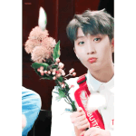 [펜타곤] 오밀조밀 깜찍<b>택</b>