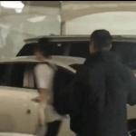 <b>기여</b>운 백혀니