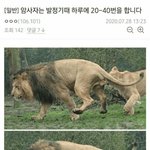 [조언부탁해] <b>k고딩</b>..