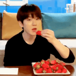 기여운 배켜니