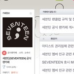 [세븐틴] ㅅㄷ 공카