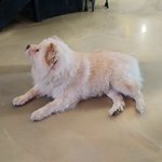 <b>남혐</b> 왜 생기는지 알겠더라