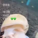 [NCT즌] 툥 <b>달팽이</b> 귀엽다 냠냠송 ㅋㅋㅋㅋ