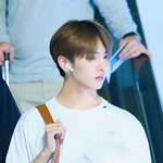 [펜타곤] <b>하늘아래</b> 같은 갈색은 없다