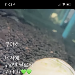 [NCT즌] <b>오옹</b> 지금 봐써