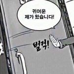 [댓글부탁해] 근데 팬이면 다 좋아해야 해?