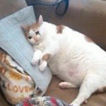 나 <b>미술</b> 그만둘까