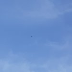 [진격의거인] 무언가 <b>번역</b>을 하고 싶다