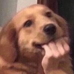 [NCT즌] 동런러들 마음의준비해,