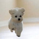 ㅇㄴ친한친구가 레깅스 준다고 했는데(사진)