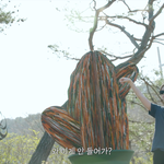 [NCT즌] 그냥 대놓고 <b>선인장</b>