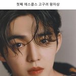 [세븐틴] 얼굴<b>책</b> ㅇㅇㅣㄷ <b>이</b>ㅅ에 95라인 뜬 거