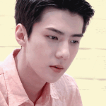 <b>기여</b>운 새후니