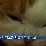 [NCT즌] <b>남</b>들이 동런<b>잼</b>젠할때