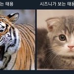 [NCT즌] 샹ㅋㅋㅋㅋㅋㅋㅋㅋㄹㅇ <b>찰떡</b>이네