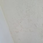 [꼭조언부탁] 윗집누수에서 정신적인스트레스로..