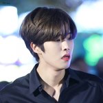 [골든차일드] 삐빅- 모든 멤버가 비주얼입니다.