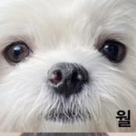 [TXT] 다들