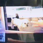 관심없는 남자애들한테 진짜 눈길도 주지마