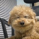 전남친 <b>틱톡</b>하는데ㅋㅋㅋㅈㄴ
