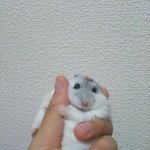 신발 국어 _<b>망해</b>ㅛ다