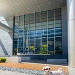 [강아지] 롱티즈 둥이와 <b>봄나들이</b>