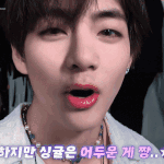 김뷔 <b>곰도리</b>