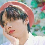 [TXT] 약간 컨셉