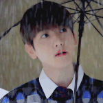 <b>기여</b>운 배켜니