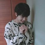 [스키즈] 테이들