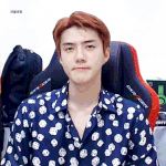 <b>기여</b>운 세푸니