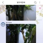 [NCT즌] 야 나 <b>데이트</b> 잡는다