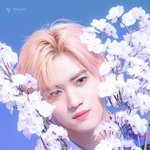 [펜타곤] <b>정화</b>