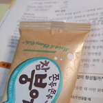 <b>통합</b>과학과 함께하는 쫀득쫀득 참붕어빵