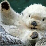 아 나 진짜 <b>enfj</b>가 너무 좋음